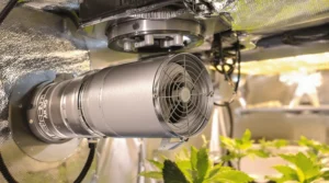 Lüfter in einer Growbox mit Luftstromberechnung