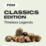 Feminisierte Samen Classics Edition: Zeitlose Legenden.