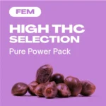High THC Selection Fem: Feminisierte Sorten mit Power.